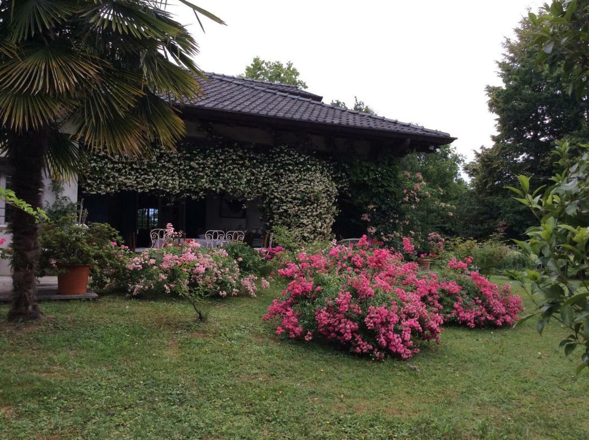Le Querce Bed & Breakfast Tricesimo Dış mekan fotoğraf